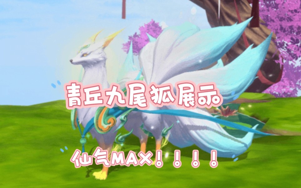 创造与魔法狐与猫在哪里 创造与魔法45级推荐宠物坐骑