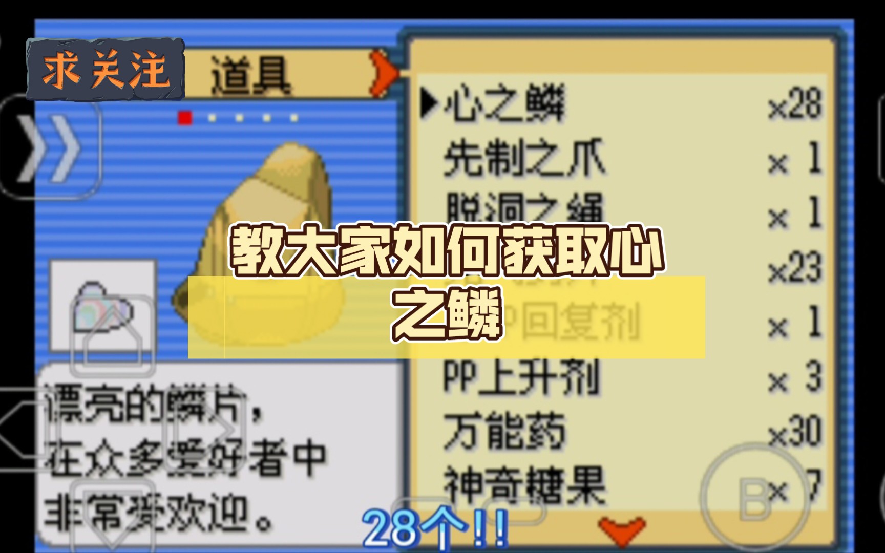 宝可梦漆黑的魅影技能机器都在哪里找 酋雷姆性格配招