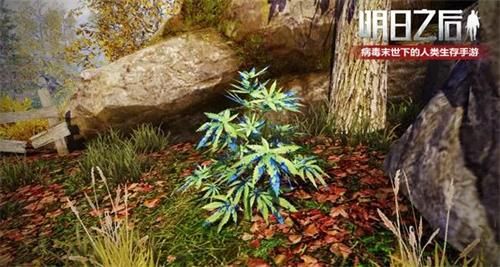 明日之后无畏征途攻略大全：无畏征途玩法奖励全汇总[视频][多图]图片2