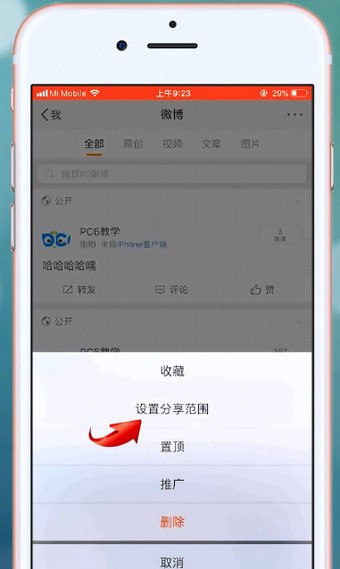微博APP设置不让别人看到的操作流程截图