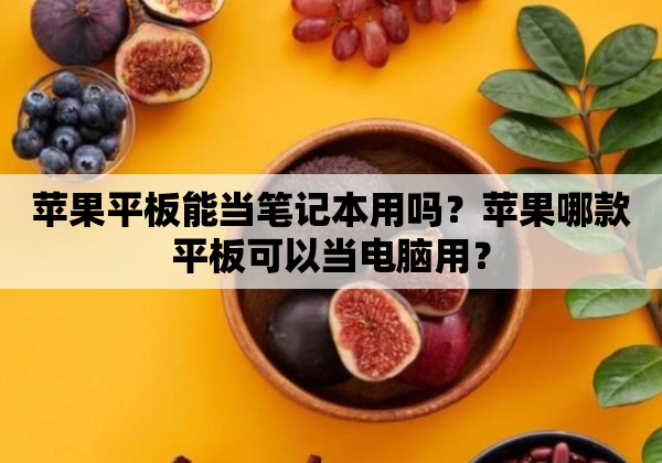 苹果平板能当笔记本用吗？苹果哪款平板可以当电脑用？