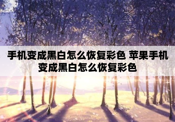 手机变成黑白怎么恢复彩色 苹果手机变成黑白怎么恢复彩色