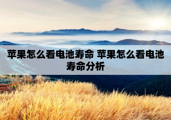 苹果怎么看电池寿命 苹果怎么看电池寿命分析