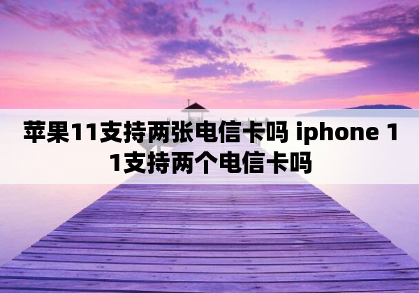 苹果11支持两张电信卡吗 iphone 11支持两个电信卡吗