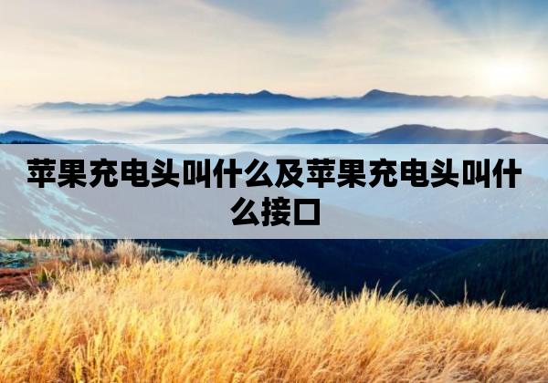 苹果充电头叫什么及苹果充电头叫什么接口