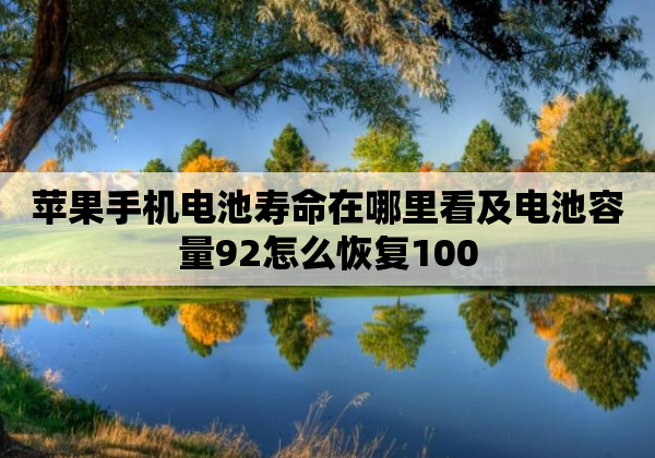 苹果手机电池寿命在哪里看及电池容量92怎么恢复100