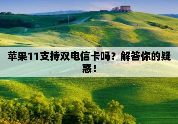 苹果11支持双电信卡吗？解答你的疑惑！