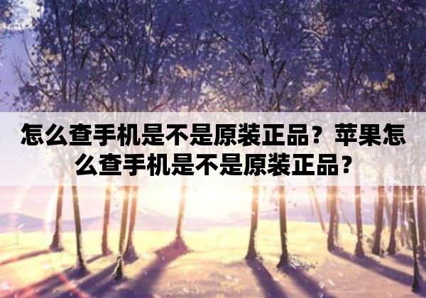 怎么查手机是不是原装正品？苹果怎么查手机是不是原装正品？
