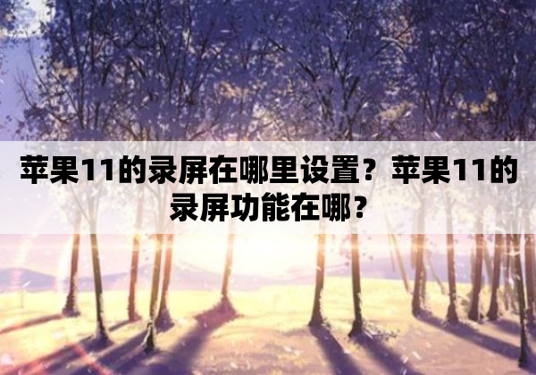 苹果11的录屏在哪里设置？苹果11的录屏功能在哪？