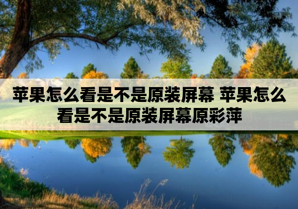 苹果怎么看是不是原装屏幕 苹果怎么看是不是原装屏幕原彩萍