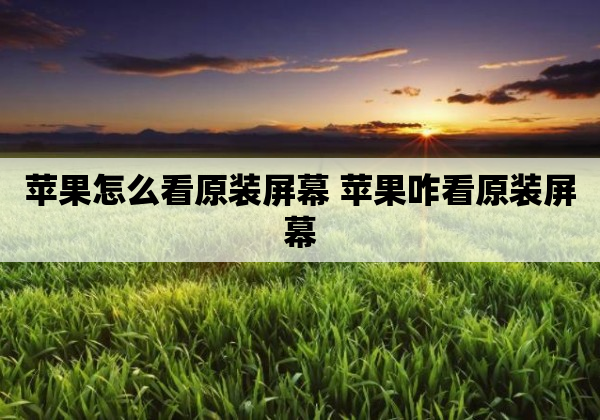 苹果怎么看原装屏幕 苹果咋看原装屏幕