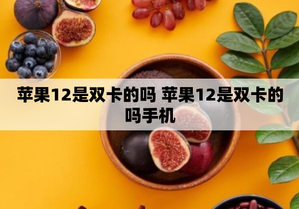 苹果12是双卡的吗 苹果12是双卡的吗手机