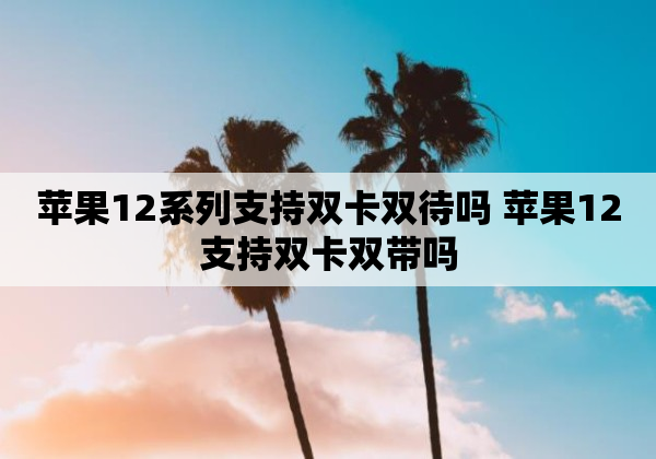 苹果12系列支持双卡双待吗 苹果12支持双卡双带吗