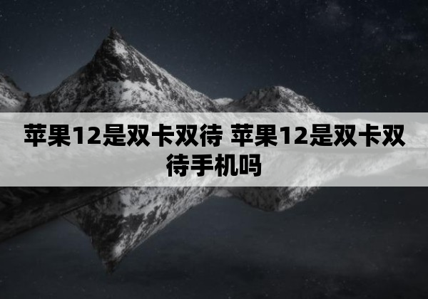 苹果12是双卡双待 苹果12是双卡双待手机吗