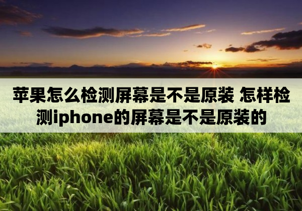 苹果怎么检测屏幕是不是原装 怎样检测iphone的屏幕是不是原装的