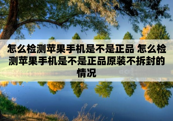 怎么检测苹果手机是不是正品 怎么检测苹果手机是不是正品原装不拆封的情况