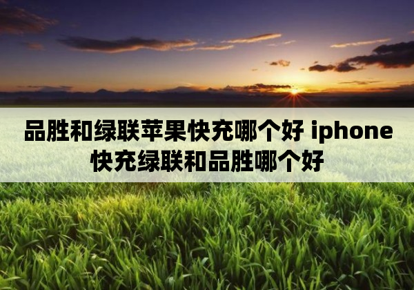 品胜和绿联苹果快充哪个好 iphone快充绿联和品胜哪个好