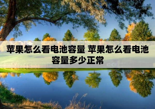 苹果怎么看电池容量 苹果怎么看电池容量多少正常