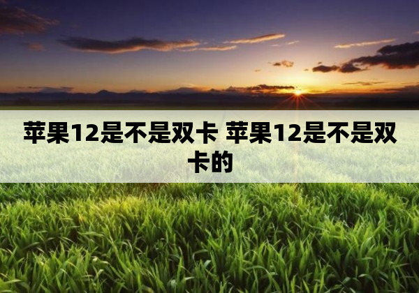 苹果12是不是双卡 苹果12是不是双卡的