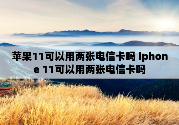 苹果11可以用两张电信卡吗 iphone 11可以用两张电信卡吗