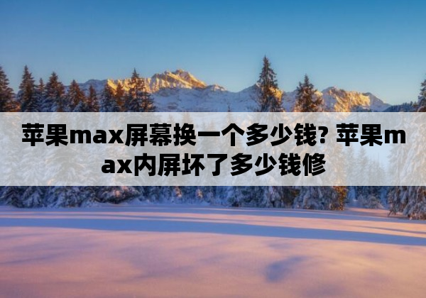 苹果max屏幕换一个多少钱? 苹果max内屏坏了多少钱修