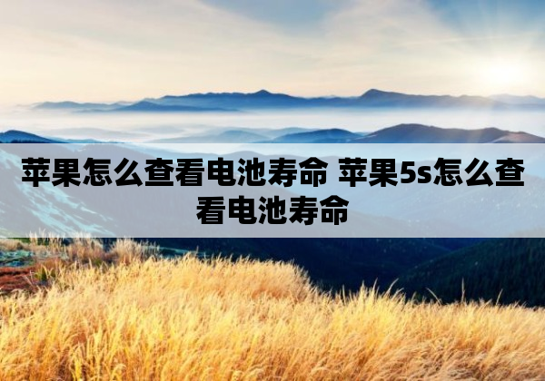 苹果怎么查看电池寿命 苹果5s怎么查看电池寿命