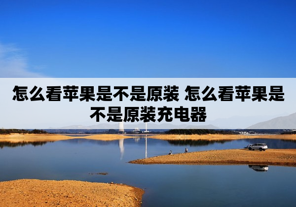 怎么看苹果是不是原装 怎么看苹果是不是原装充电器