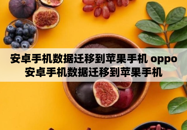 安卓手机数据迁移到苹果手机 oppo安卓手机数据迁移到苹果手机