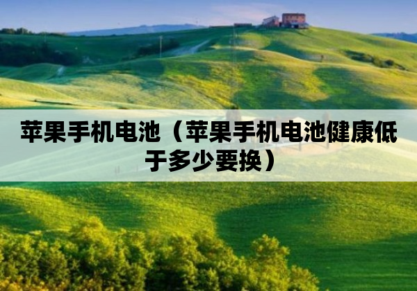 苹果手机电池（苹果手机电池健康低于多少要换）
