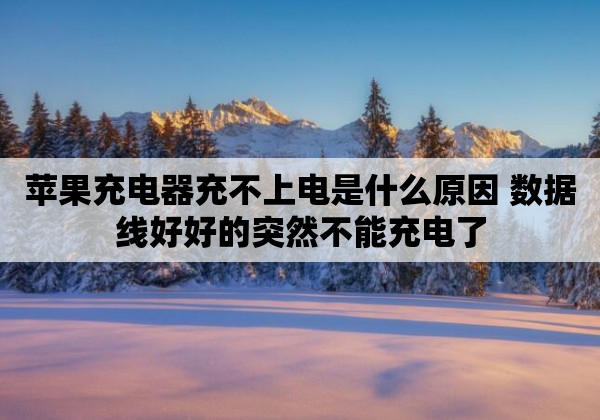 苹果充电器充不上电是什么原因 数据线好好的突然不能充电了