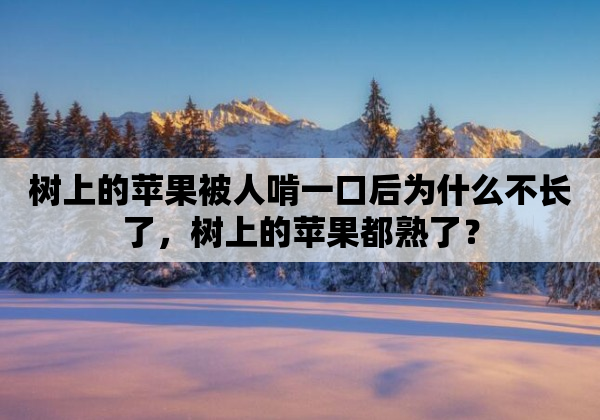 树上的苹果被人啃一口后为什么不长了，树上的苹果都熟了？