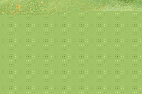 微信公众号包含什么