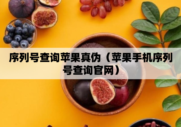 序列号查询苹果真伪（苹果手机序列号查询官网）
