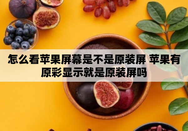 怎么看苹果屏幕是不是原装屏 苹果有原彩显示就是原装屏吗