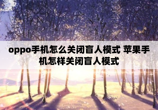 oppo手机怎么关闭盲人模式 苹果手机怎样关闭盲人模式