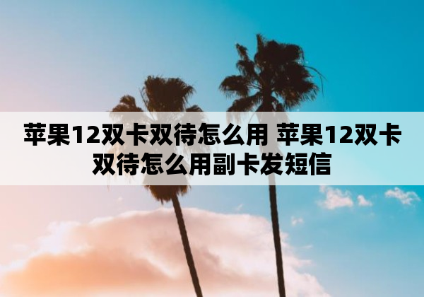 苹果12双卡双待怎么用 苹果12双卡双待怎么用副卡发短信