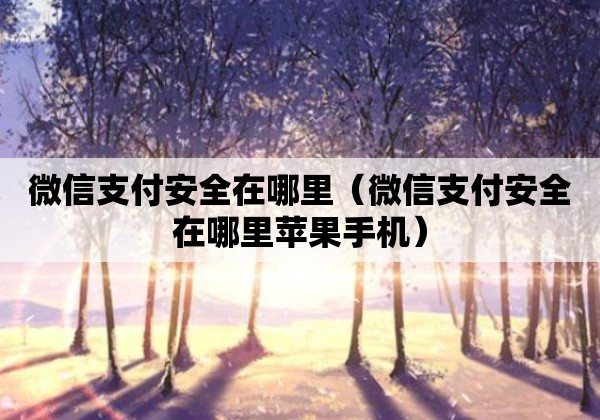 微信支付安全在哪里（微信支付安全在哪里苹果手机）