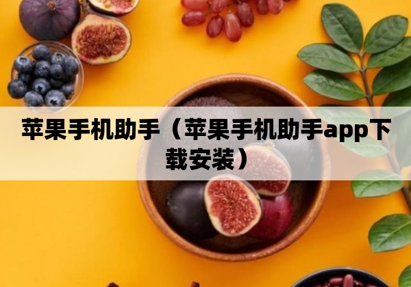 苹果手机助手（苹果手机助手app下载安装）