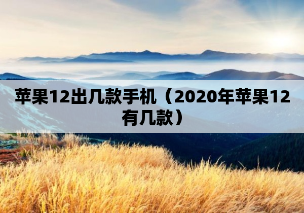 苹果12出几款手机（2020年苹果12有几款）