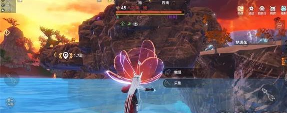 妄想山海梦魂花怎么获得 具体一览