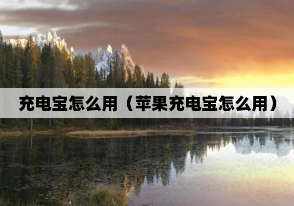 充电宝怎么用（苹果充电宝怎么用）
