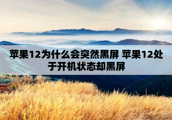 苹果12为什么会突然黑屏 苹果12处于开机状态却黑屏