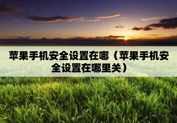 苹果手机安全设置在哪（苹果手机安全设置在哪里关）