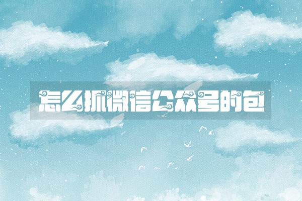 怎么抓微信公众号的包
