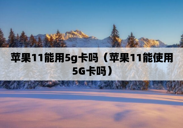 苹果11能用5g卡吗（苹果11能使用5G卡吗）