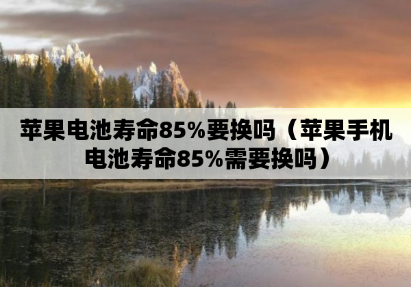苹果电池寿命85%要换吗（苹果手机电池寿命85%需要换吗）