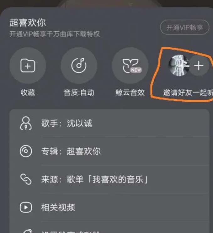 网易云音乐一起听歌记录怎么看