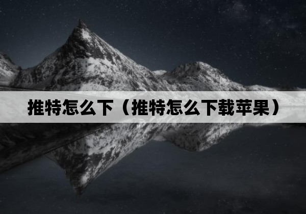 推特怎么下（推特怎么下载苹果）