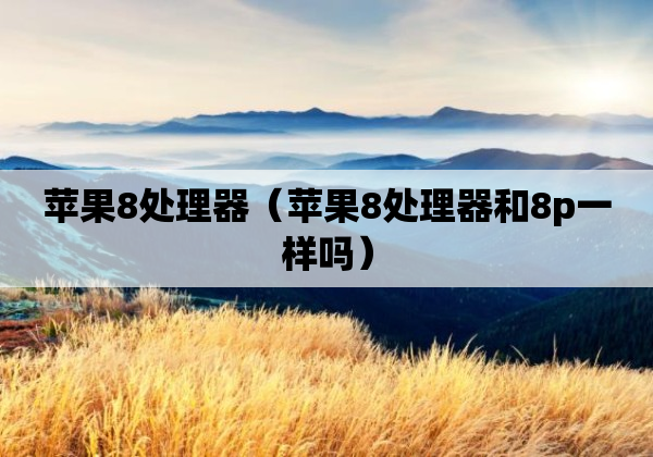 苹果8处理器（苹果8处理器和8p一样吗）