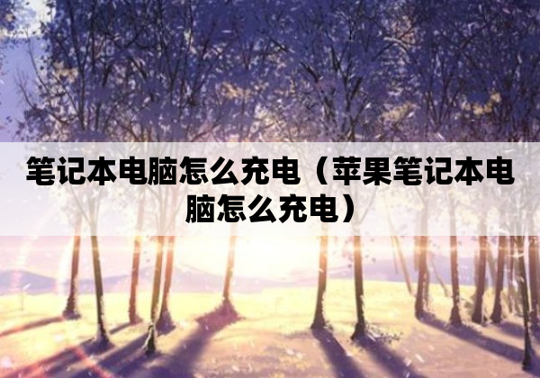 笔记本电脑怎么充电（苹果笔记本电脑怎么充电）